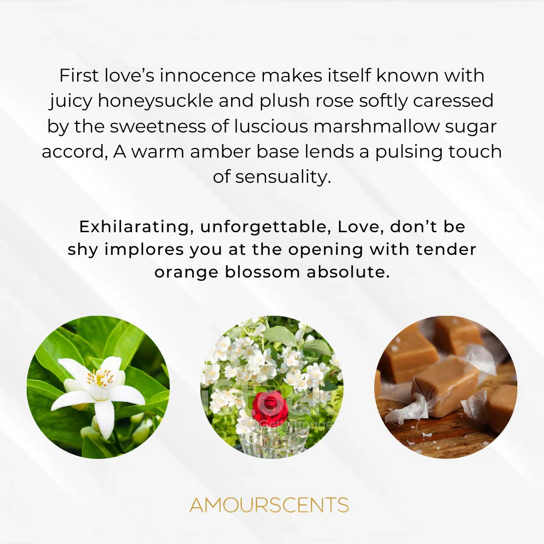 Love, Don't Be Shy Reed Diffuser (Inspired) - Image 2
