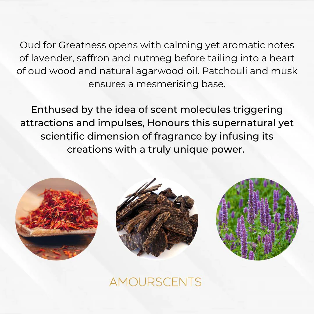 Oud For Greatness Car Freshener (Inspired) - Splendour Of Oud - Image 2