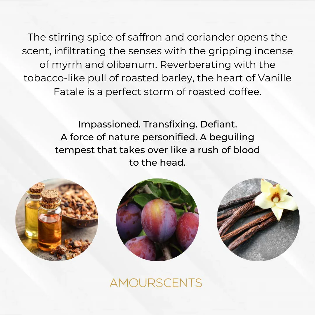 Vanille Fatale Reed Diffuser (Inspired) - Lavish Vanille - Image 2